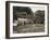 Arundel - the Black Rabbit, Offham-null-Framed Photographic Print