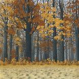 Autumn Wood-Timothy Arzt-Art Print