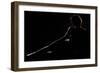 As a Dark-Fulvio Pellegrini-Framed Photographic Print