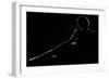 As a Dark-Fulvio Pellegrini-Framed Photographic Print