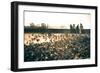 As Dawn Arrives-Valda Bailey-Framed Photographic Print