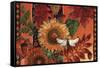 As fall nips the air-David Galchutt-Framed Stretched Canvas