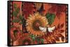 As fall nips the air-David Galchutt-Framed Stretched Canvas