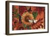 As fall nips the air-David Galchutt-Framed Giclee Print