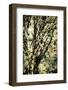 As Old as Time-Ursula Abresch-Framed Photographic Print