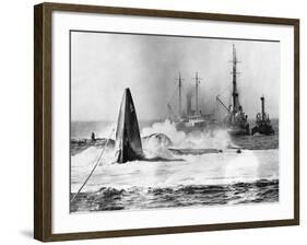 As Raised Squalus Plunged Back to Depths-null-Framed Photographic Print