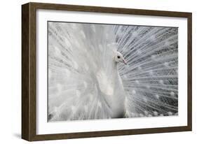 As White as Snow-Victoria Ivanova-Framed Photographic Print