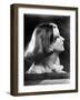 As You Desire Me, Greta Garbo, 1932-null-Framed Photo