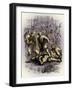 As You Like It-John Gilbert-Framed Giclee Print