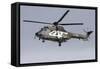 As332M1 Super Puma Helicopter of the Swiss Air Force-null-Framed Stretched Canvas