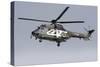 As332M1 Super Puma Helicopter of the Swiss Air Force-null-Stretched Canvas