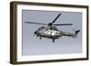 As332M1 Super Puma Helicopter of the Swiss Air Force-null-Framed Photographic Print