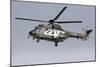 As332M1 Super Puma Helicopter of the Swiss Air Force-null-Mounted Photographic Print