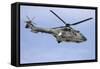 As332M1 Super Puma Helicopter of the Swiss Air Force-null-Framed Stretched Canvas