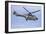 As332M1 Super Puma Helicopter of the Swiss Air Force-null-Framed Photographic Print