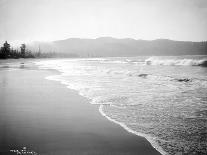 Coastline Scene, Washington, Circa 1910-Asahel Curtis-Giclee Print