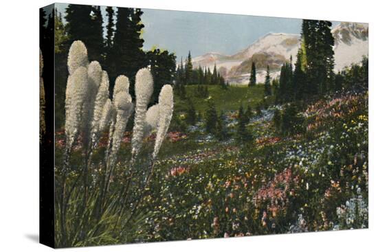 Stretched Canvas Print, , large