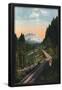 Essential Black