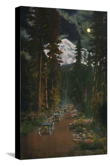 Stretched Canvas Print, , large