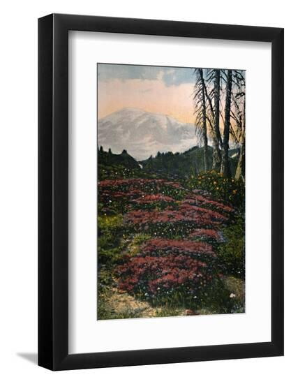 Photographic Print, , large