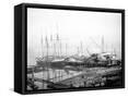 Framed Canvas
