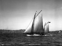 Sloop Sailboat Underway, Circa 1909-Asahel Curtis-Giclee Print