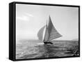 Canvas Black