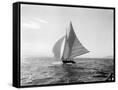 Canvas Black