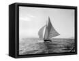 Canvas Black