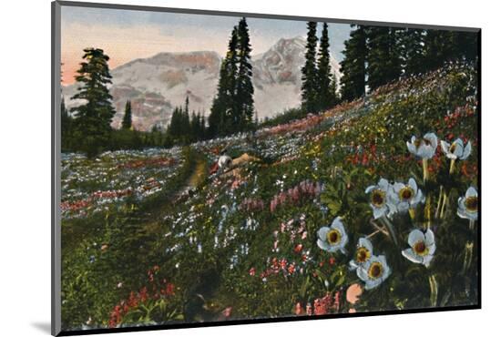 Photographic Print, , large