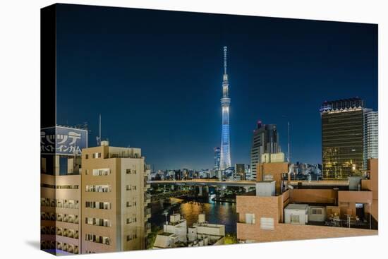 Asakusa, the Town and the Tokyo Sky Tree-Massimo Borchi-Stretched Canvas