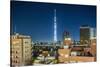 Asakusa, the Town and the Tokyo Sky Tree-Massimo Borchi-Stretched Canvas