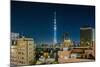 Asakusa, the Town and the Tokyo Sky Tree-Massimo Borchi-Mounted Photographic Print