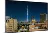 Asakusa, the Town and the Tokyo Sky Tree-Massimo Borchi-Mounted Photographic Print