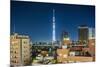 Asakusa, the Town and the Tokyo Sky Tree-Massimo Borchi-Mounted Photographic Print