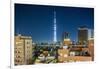 Asakusa, the Town and the Tokyo Sky Tree-Massimo Borchi-Framed Photographic Print