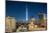 Asakusa, the Town and the Tokyo Sky Tree-Massimo Borchi-Mounted Photographic Print