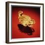 Asante Scorpion Ring, from Ghana (Gold)-African-Framed Giclee Print