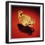 Asante Scorpion Ring, from Ghana (Gold)-African-Framed Giclee Print