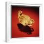 Asante Scorpion Ring, from Ghana (Gold)-African-Framed Giclee Print