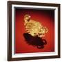 Asante Scorpion Ring, from Ghana (Gold)-African-Framed Giclee Print