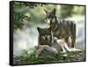 Asap Entertainment Plays with Wolves-Lionel Cironneau-Framed Stretched Canvas