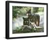 Asap Entertainment Plays with Wolves-Lionel Cironneau-Framed Photographic Print