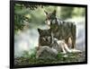 Asap Entertainment Plays with Wolves-Lionel Cironneau-Framed Photographic Print