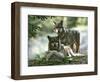 Asap Entertainment Plays with Wolves-Lionel Cironneau-Framed Photographic Print