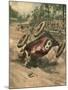 Ascari Killed-Alfredo Ortelli-Mounted Art Print