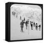 Ascending a Steep Snowfield, Stevens Glacier, Mount Rainier, Washington, USA-Underwood & Underwood-Framed Stretched Canvas