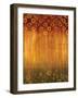 Ascending II-Brent Nelson-Framed Art Print