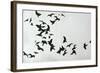 Ascending-Sydney Edmunds-Framed Giclee Print