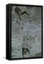Ascent Ii-Ferdinand Hodler-Framed Stretched Canvas